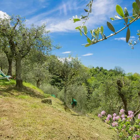 Casaccia By Interhome Mommio