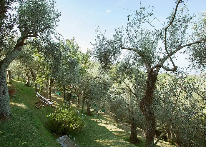 Casa de Férias Casaccia By Interhome *